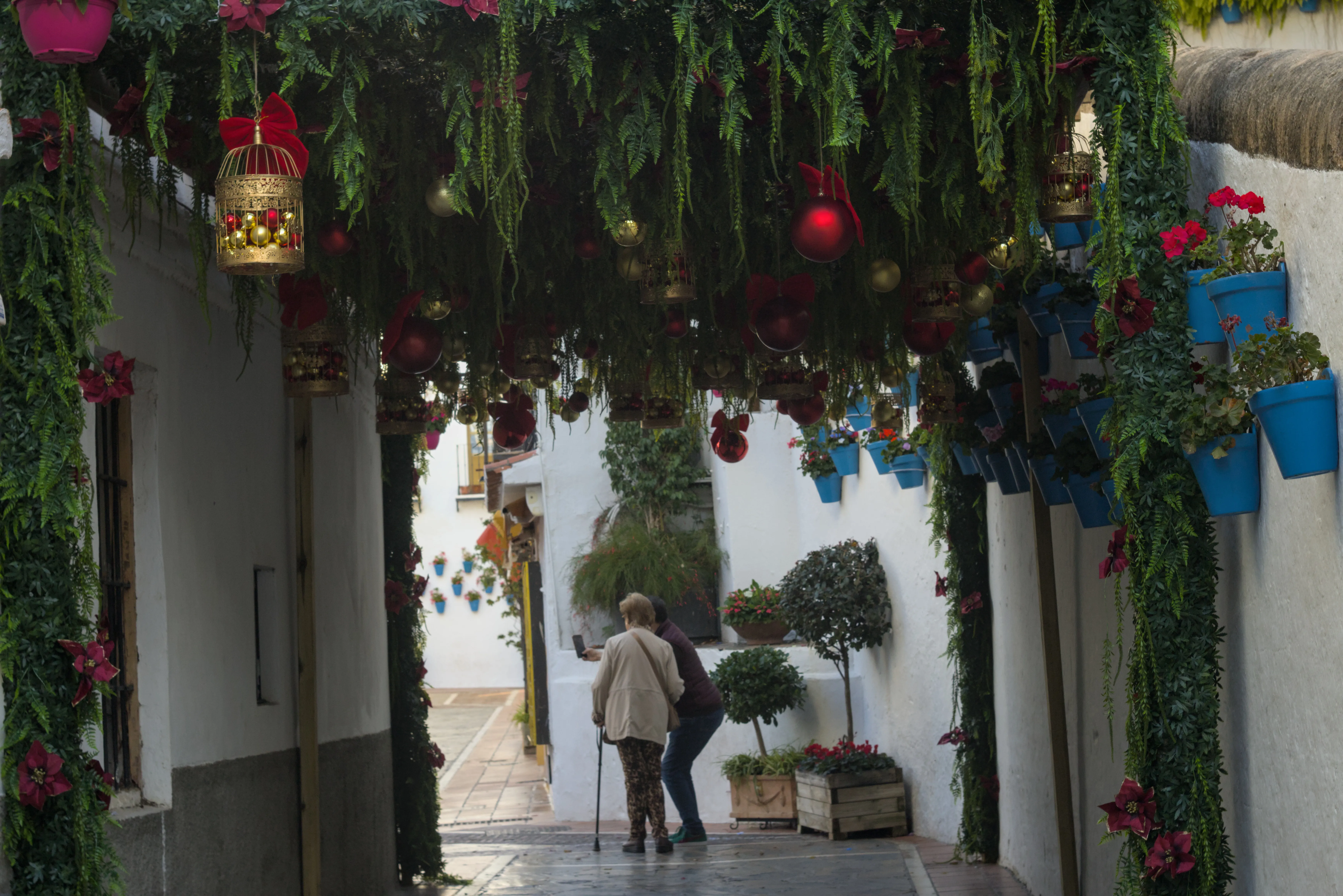 Zenith Helios-77M-4 1,850 (VOMZ) - _I4A6730.webp